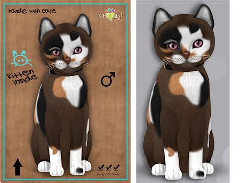 kittykats|All about KittyCatS! in Second Life